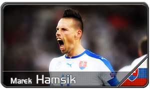 Hamsik1.png