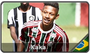 kaka.png