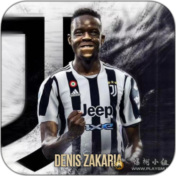 Denis Zakaria.png