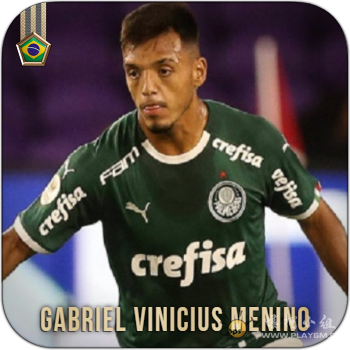 Gabriel Vinicius Menino