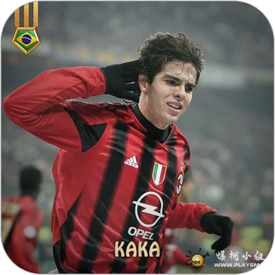 kaka.png